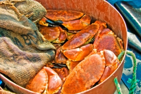 A bucket of crabs at Guernsey International Food Festival